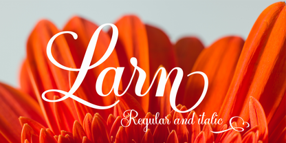 Larn